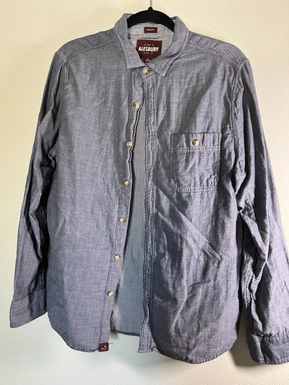 Alesbury Men's Blue Button-Down Shirt